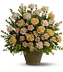 Teleflora's Rose Remembrance from Backstage Florist in Richardson, Texas